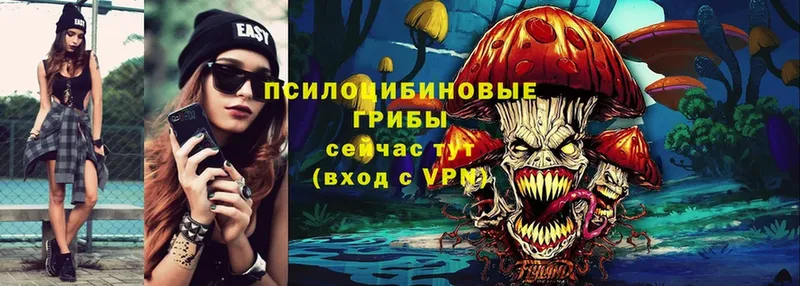 мориарти Telegram  Остров  Псилоцибиновые грибы Psilocybine cubensis  магазин   